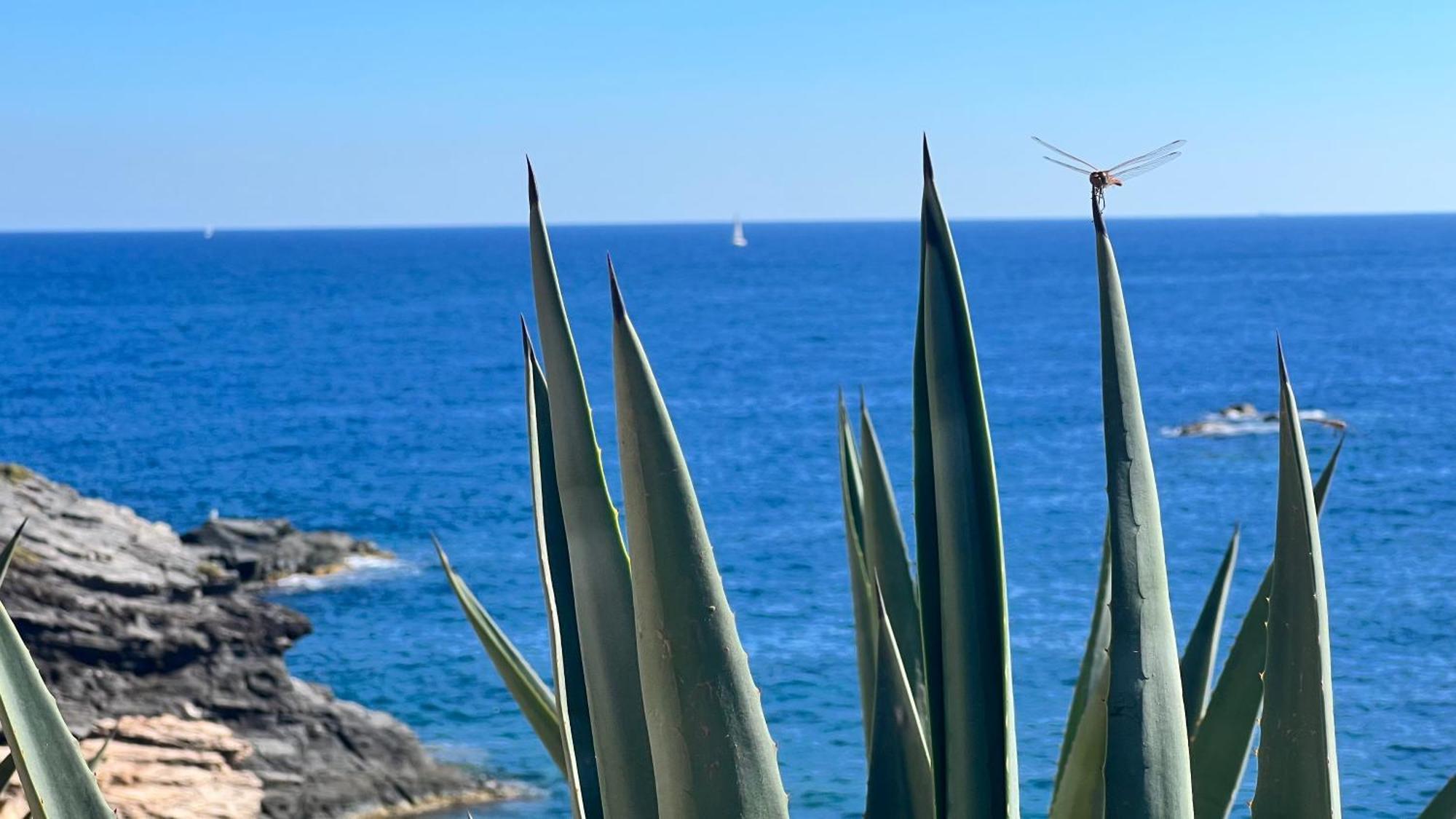 Turquesa Del Mar - Sun & Beach & Golf & Bike - Large Terrace Ground-Floor Spanish Apartment Dehesa de Campoamor  Exterior foto